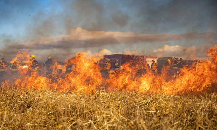 Fundo Ambiental: 7,5 milhões de euros em apoios para prevenir incêndios em áreas de baldio 