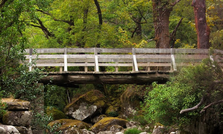 Luz verde para Reordenamento e Gestão da Paisagem das Serras da Peneda-Gerês, Montemuro, Alto Paiva e Vouga, e São Mamede e Terras de Nisa