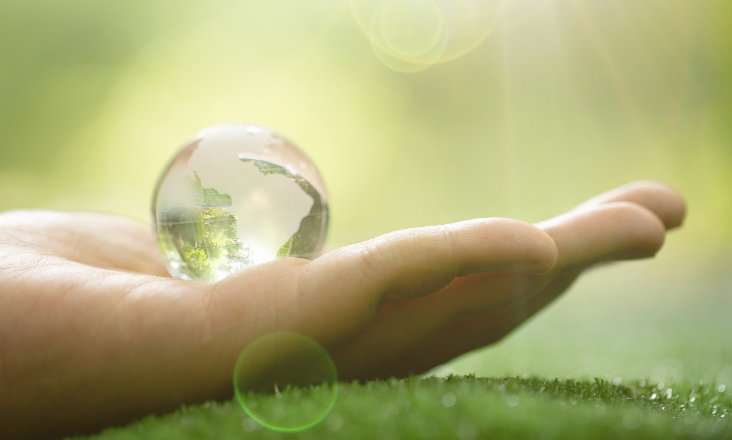 Relatório do Estado do Ambiente 2024: produção total de resíduos urbanos ascende a 5,05 milhões de toneladas
