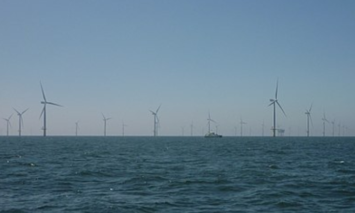 Ocean Winds estuda impacto ambiental de parque eólico ao largo de Viana do Castelo