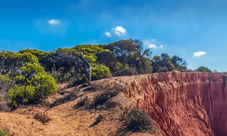 Regadio no Algarve divide ambientalistas de autoridades e produtores