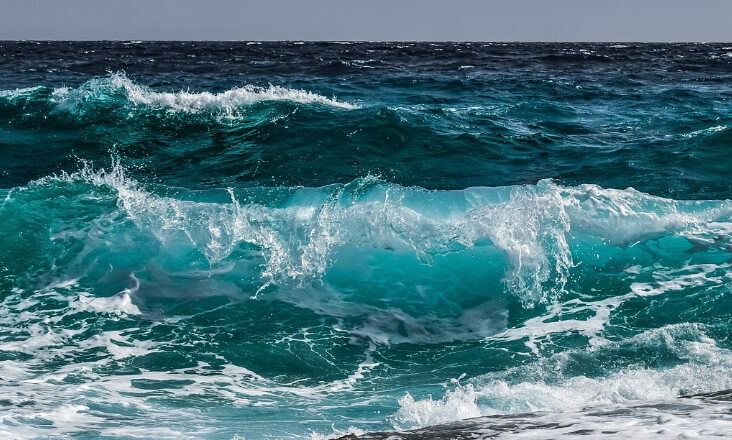 Aumento de bactérias marinhas nas praias coloca em perigo a saúde pública