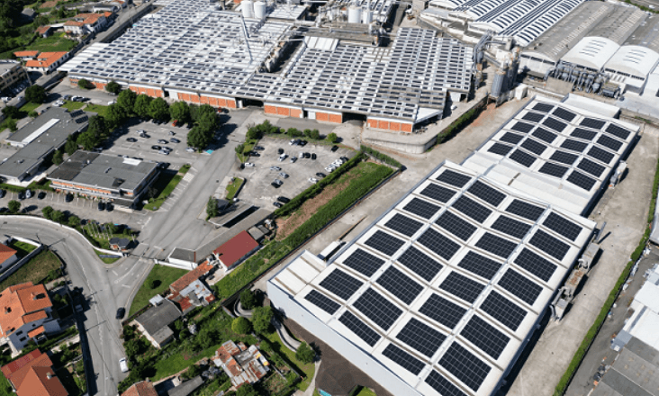 Corticeira Amorim instala mais de 25 mil painéis solares em seis das suas unidades industriais