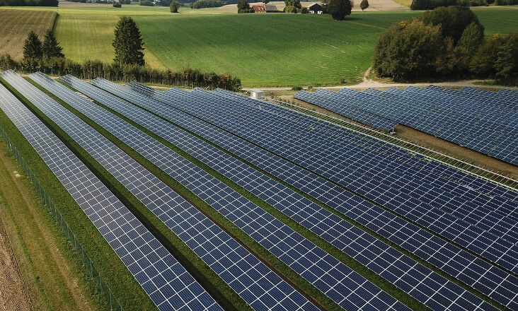 Falta transparência e diálogo nas mega centrais solares no sul do país, acusa Amnistia Internacional Portugal