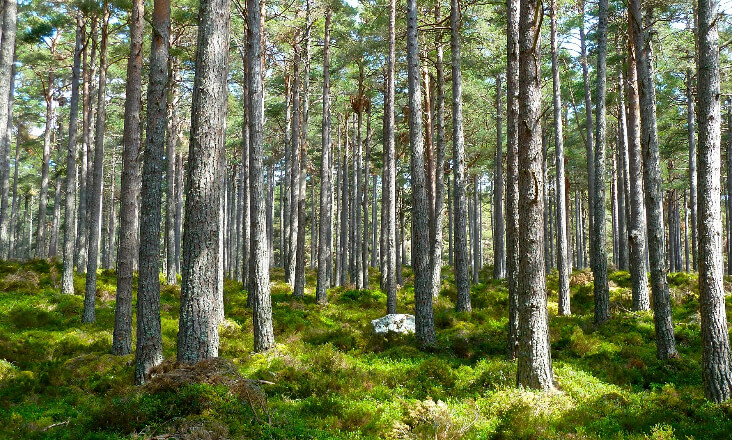 Governo investe 1,5 milhões de euros em educação ambiental