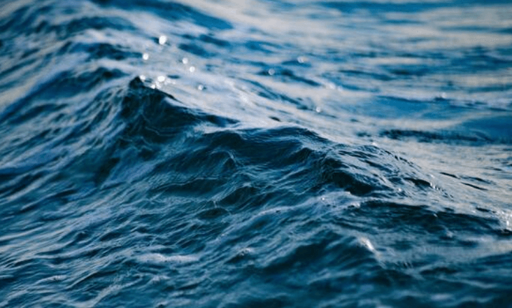 Águas do Algarve submete estudo de impacto ambiental para construir dessalinizadora