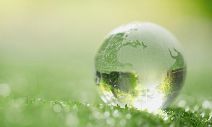 Mercado de Carbono: consultora NBI propõe critério da Adicionalidade Ecológica